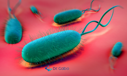 Helicobacter pylori tratamiento con el Poder de la Herbolaria