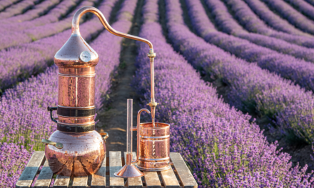 Combatir Enfermedades con el Poder de los Aceites Esenciales: Guía Práctica
