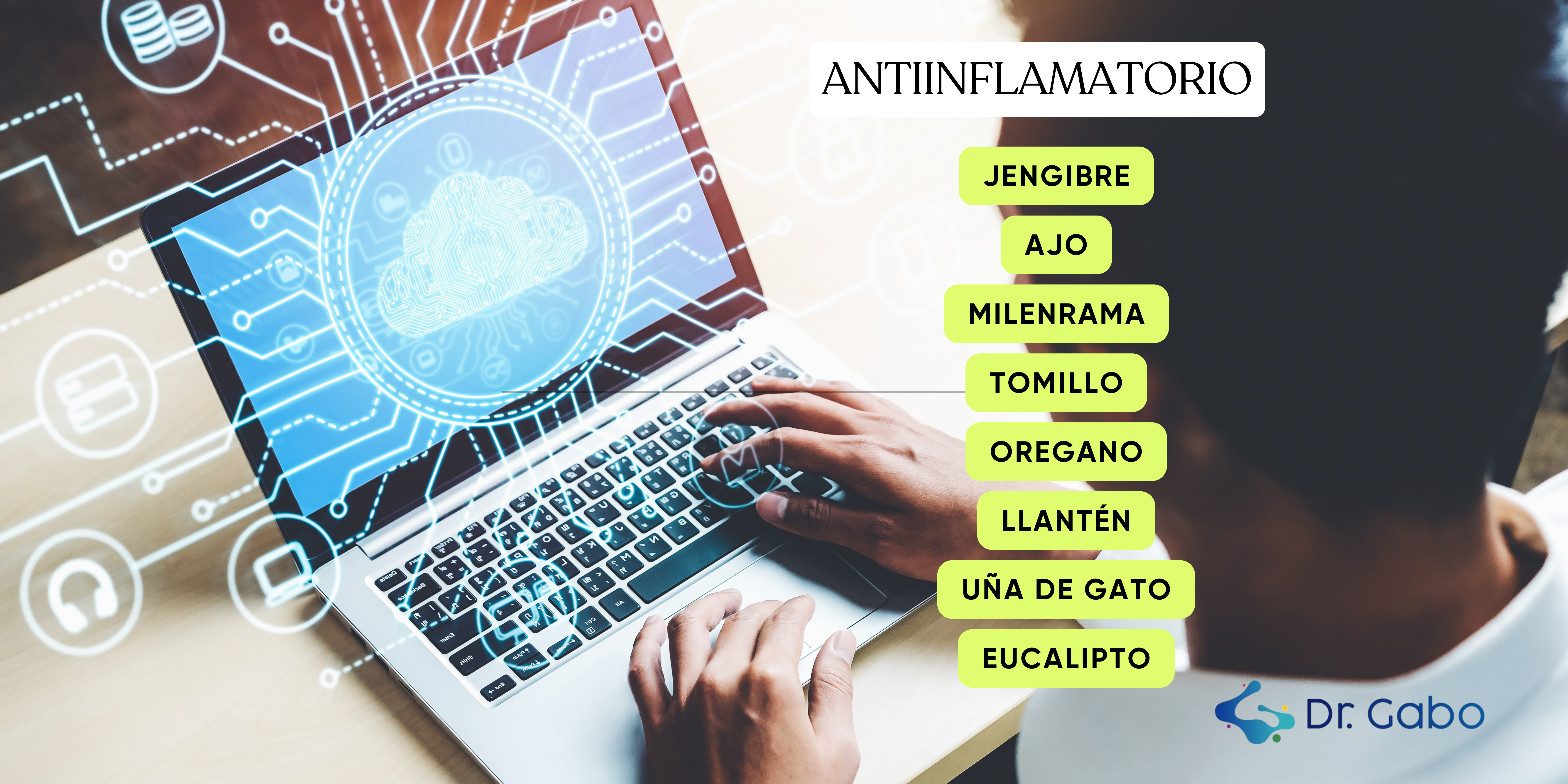 Joven investigador consulta bases de datos en su computadora sobre plantas con propiedades antiinflamatorias, destacando jengibre, ajo, milenrama, tomillo, orégano, llantén, eucalipto, y uña de gato. La imagen resalta la integración de tecnología y medicina natural en la búsqueda de soluciones herbales efectivas para la inflamación.