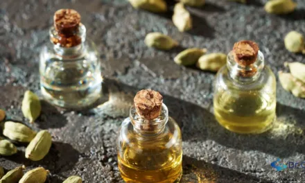 10 Aceites Esenciales que Todo Principiante Debe Conocer