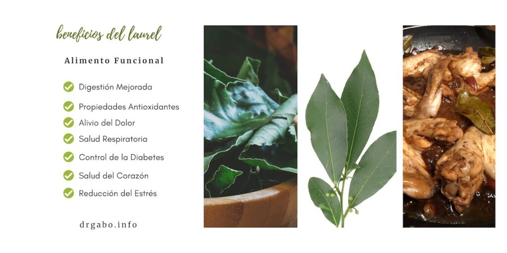 Gráfico informativo que muestra hojas de laurel frescas y secas con una lista de beneficios como digestión mejorada y reducción del estrés. Adecuado para el artículo del blog 'Beneficios de los Alimentos Funcionales: El Poder de las Hierbas Aromáticas en Tu Dieta', usando palabras clave como 'laurel', 'hierbas aromáticas', 'beneficios de salud', 'alimentos funcionales', 'digestión', 'antioxidantes' para un mejor posicionamiento en buscadores y atraer a lectores interesados en mejorar su dieta y salud.