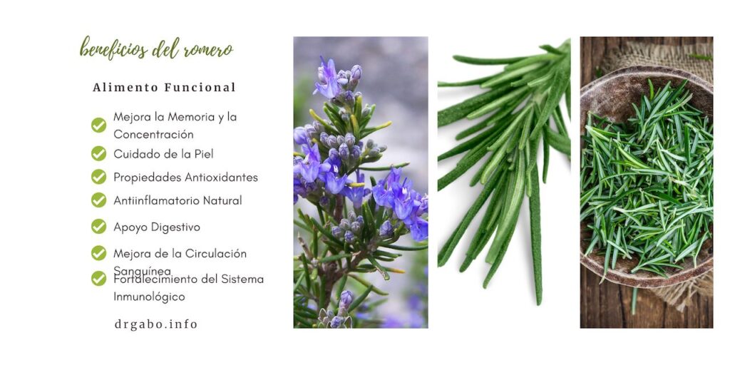 Imagen gráfica que destaca los beneficios del romero como alimento funcional, con una lista de ventajas como mejora de memoria, propiedades antioxidantes y apoyo digestivo, junto a imágenes de la planta y sus hojas. Adecuada para el blog 'Beneficios de los Alimentos Funcionales: El Poder de las Hierbas Aromáticas en Tu Dieta', y optimizada con palabras clave como 'romero', 'alimentos funcionales', 'hierbas aromáticas', 'beneficios para la salud', y 'nutrición consciente' para un mejor posicionamiento en las búsquedas de Google sobre nutrición y salud natural.