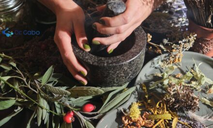 Beneficios de los Alimentos Funcionales: El Poder de las Hierbas Aromáticas en Tu Dieta