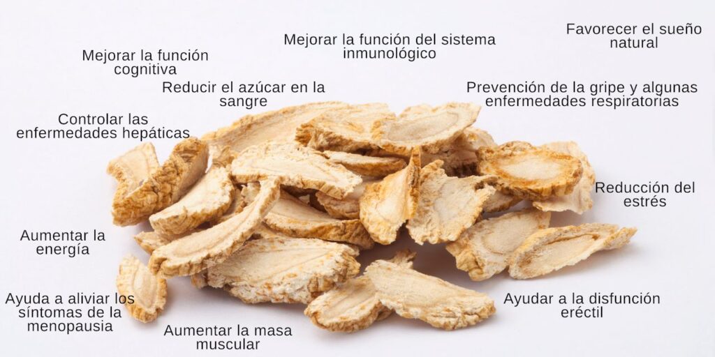 Raíces secas de jengibre en primer plano con texto que destaca sus múltiples beneficios, incluyendo mejora cognitiva, control de la diabetes, refuerzo del sistema inmunológico, y más. Imagen para el blog 'Beneficios del Ginseng: Descubre Ahora Cómo Transformar Tu Bienestar', con foco en SEO en las propiedades curativas del jengibre para una audiencia interesada en salud natural.