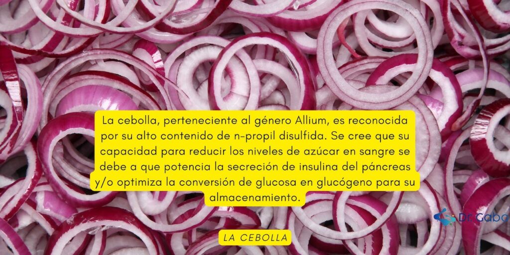 Rodajas de cebolla roja fresca que resaltan sus propiedades antidiabéticas, apoyando el contenido del blog 'Plantas Medicinales para Diabetes: Guía Esencial para el Control Natural del Azúcar en Sangre'.