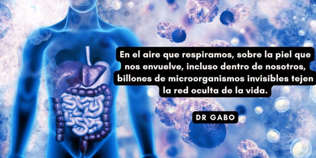 Imagen ilustrativa mostrando la silueta de una persona con un resplandor azul y un sistema digestivo destacado, rodeada por una representación artística de microorganismos, junto a una frase sobre la importancia de la microbiota en nuestra salud. Acompaña al blog 'Microbiota Saludable: Descubre el Secreto para una Vida Plena y Energética', 