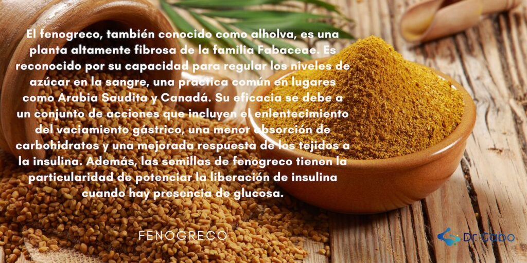 Semillas y polvo de fenogreco sobre una superficie de madera, con un texto que describe sus beneficios para el control de la diabetes. Imagen perfecta para el blog 'Plantas Medicinales para Diabetes: Guía Esencial para el Control Natural del Azúcar en Sangre'