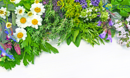 Plantas medicinales: beneficios, usos y propiedades para la salud