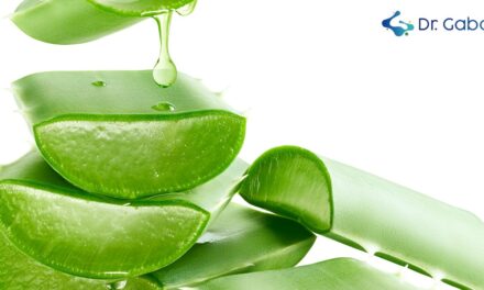 Beneficios del Aloe Vera para tu rutina diaria: Cómo aprovecharlo al máximo