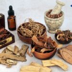 Beneficios de las Plantas Medicinales: La Guía Completa para una Vida Sana