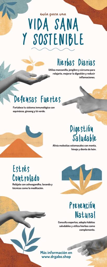 Infografía sobre los beneficios de las plantas medicinales para una vida sana y sostenible, destacando hierbas diarias, defensas fuertes y estrategias naturales de bienestar.