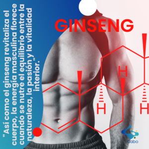 Imagen de un torso masculino tonificado con gráficos moleculares en rojo, destacando la relación entre el ginseng y la potencia sexual. La imagen incluye una frase inspiradora sobre el equilibrio entre la naturaleza, la pasión y la vitalidad interior.