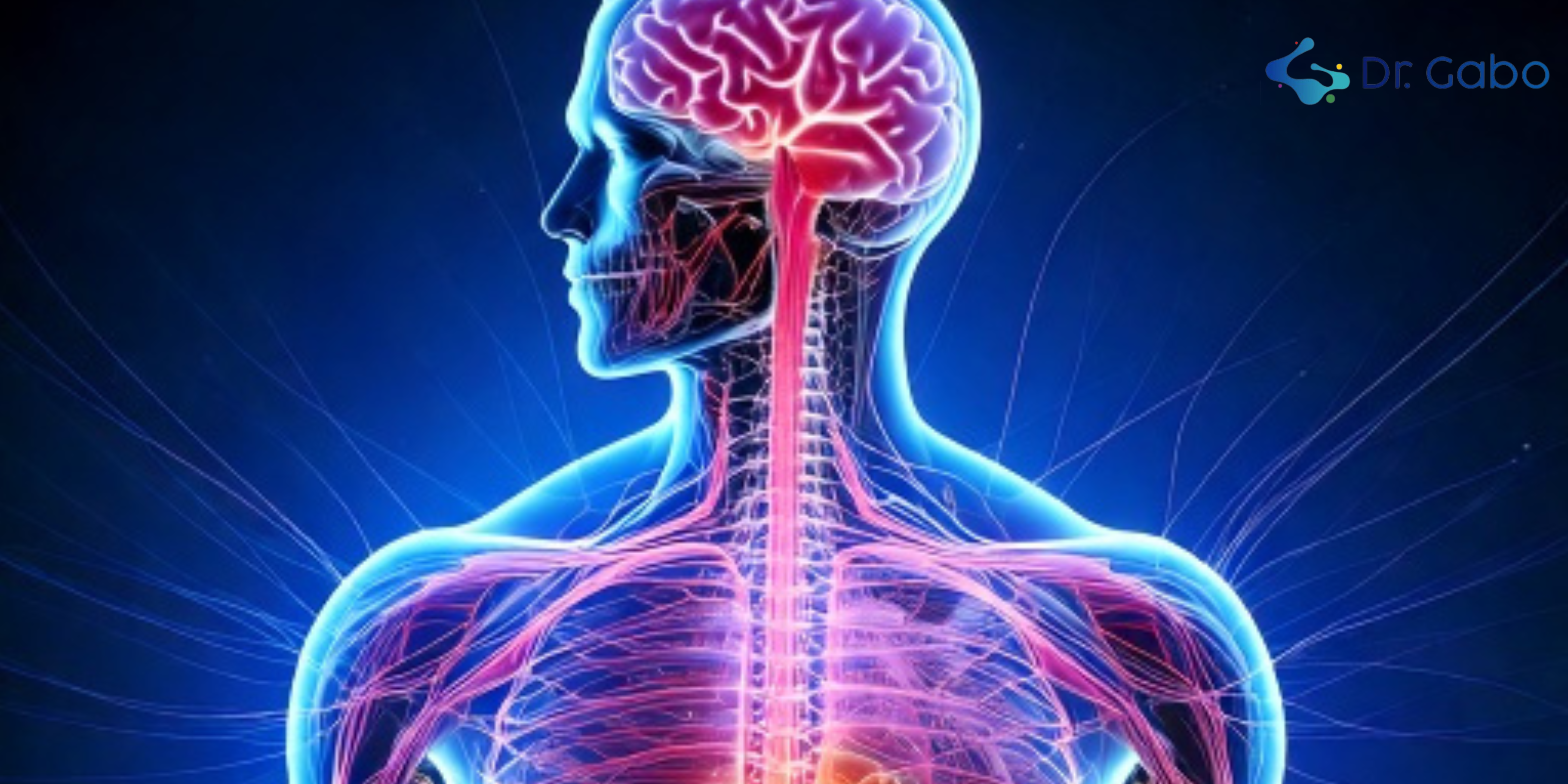 Psicomicrobiota y ansiedad: ¿Cómo el intestino afecta tu mente?